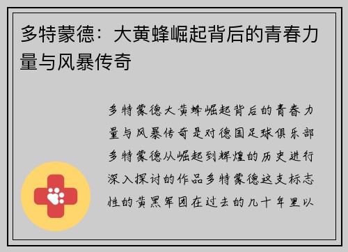 多特蒙德：大黄蜂崛起背后的青春力量与风暴传奇
